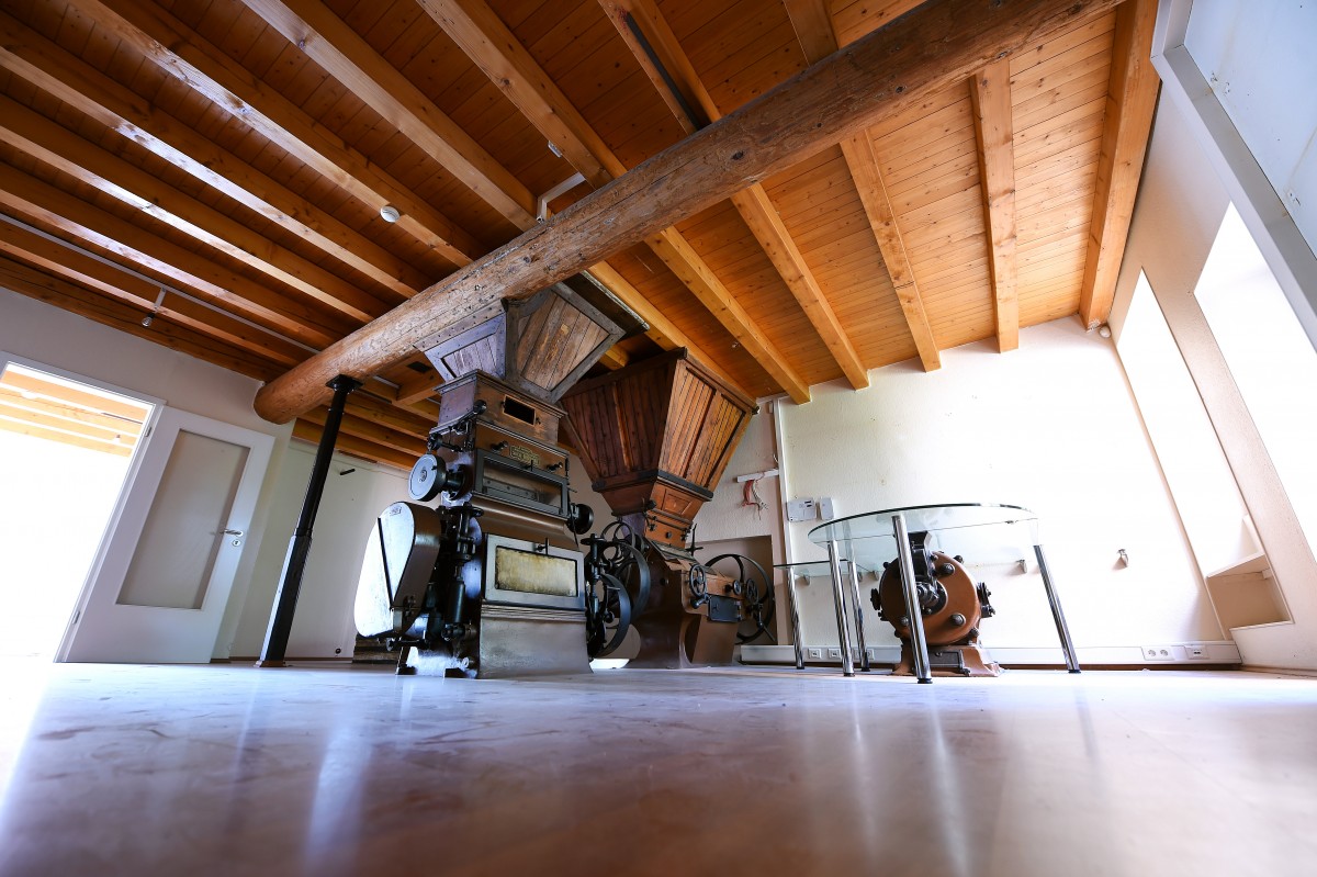 18.07.2019_Editpress_483529