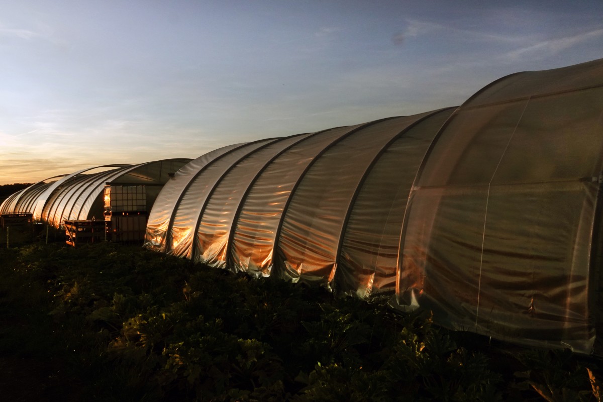 20190724 Lokales Sonnenuntergang Berchem Vum Gréis 1