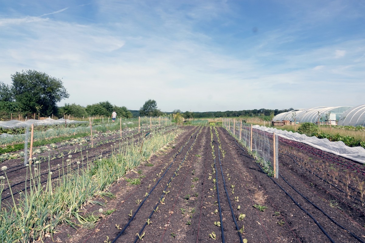Foto: Editpress/François Besch
