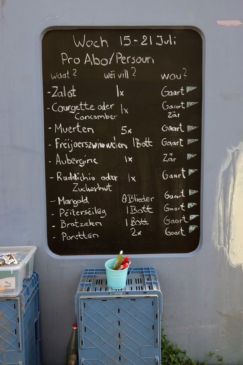 20190724 Lokales Vum Gréis Solidarische Landwirtschaft Tafel Angebot François Besch