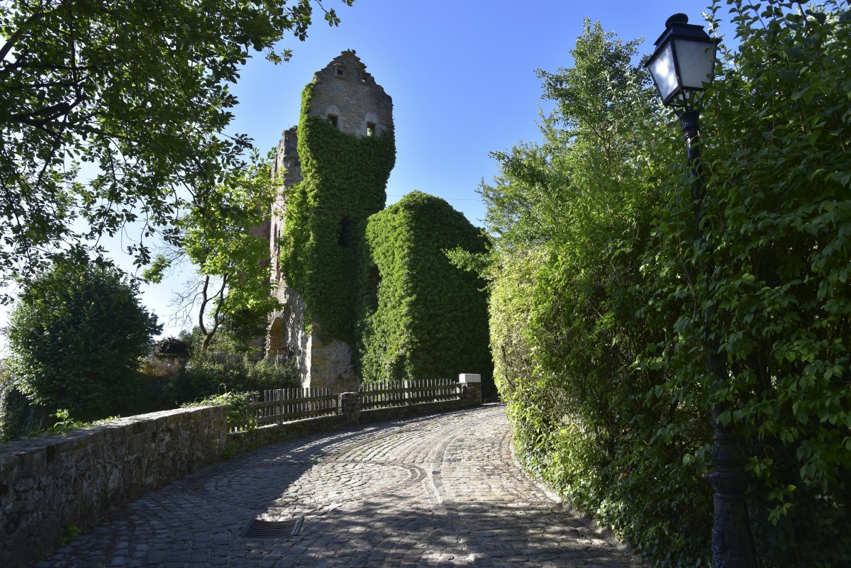 23.07.2019_Editpress_484263