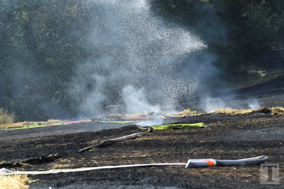 25.07.2019_Editpress_484797