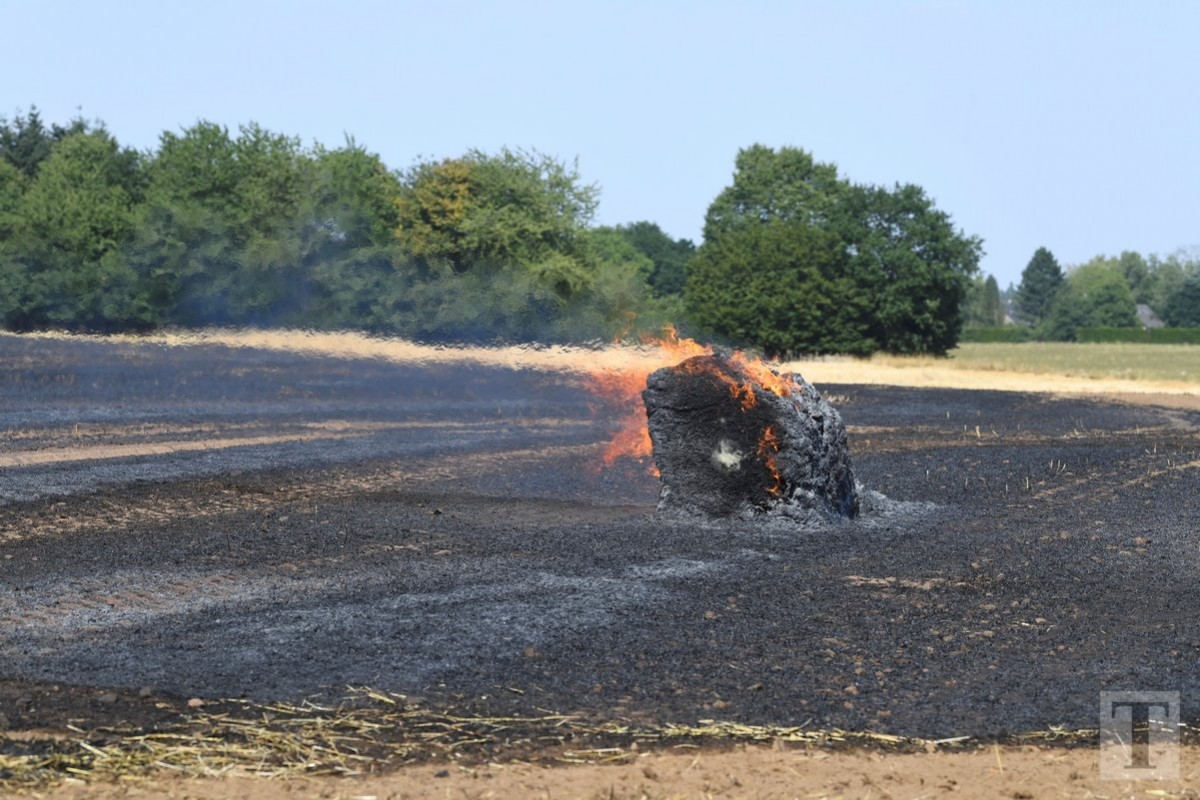 25.07.2019_Editpress_484799