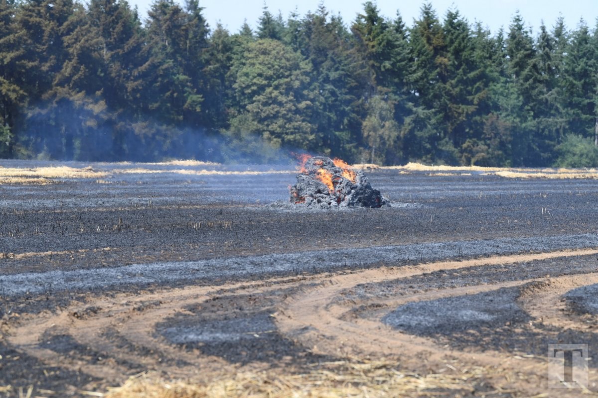 25.07.2019_Editpress_484801