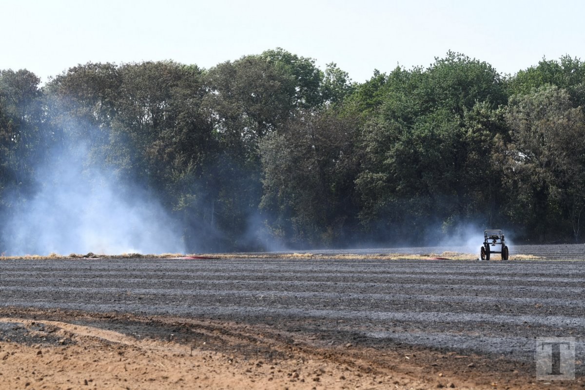 25.07.2019_Editpress_484803