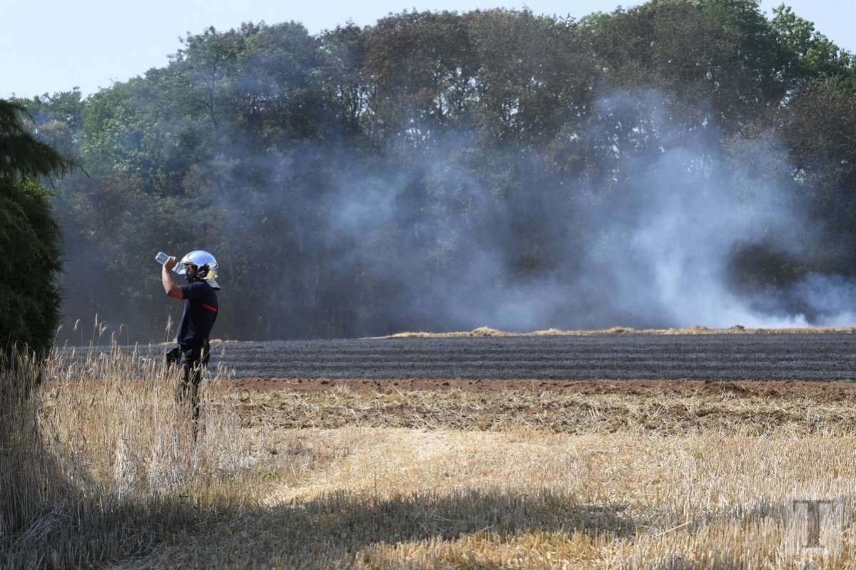 25.07.2019_Editpress_484805