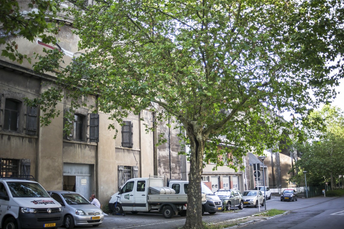 26.06.2019_Editpress_479084