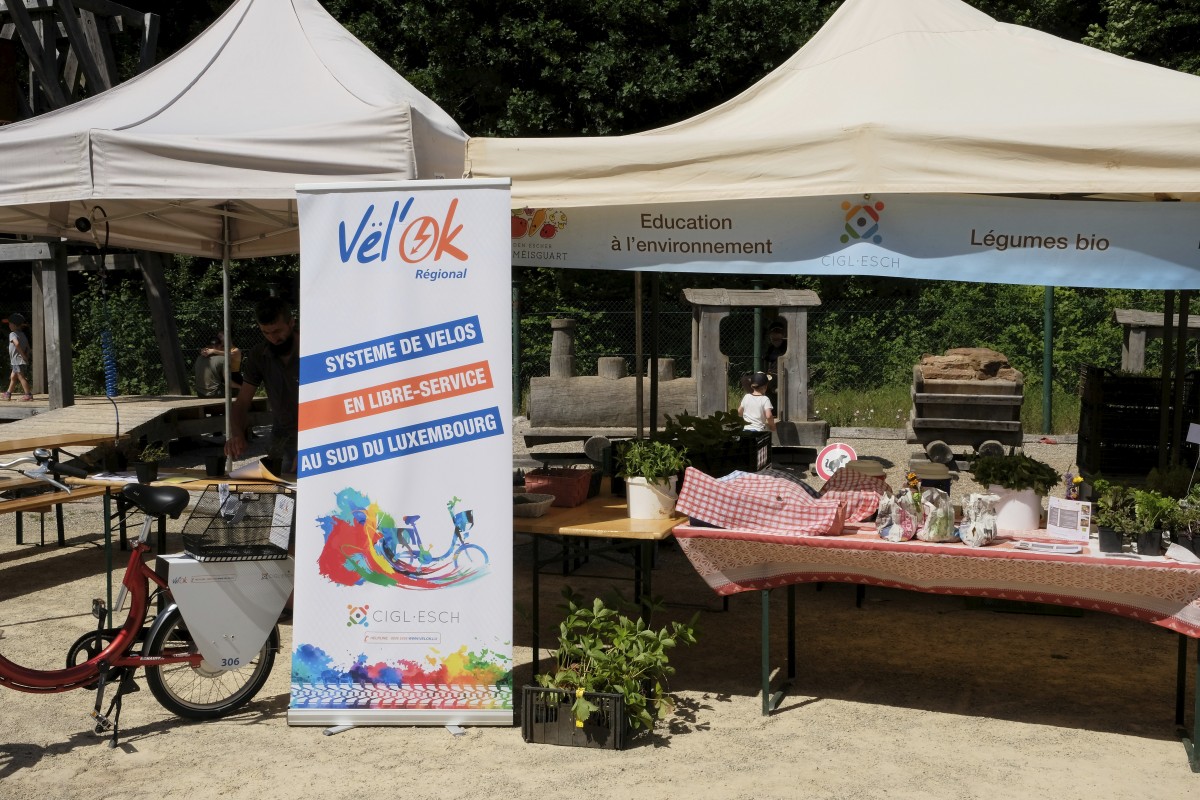 30.06.2019_Editpress_479939