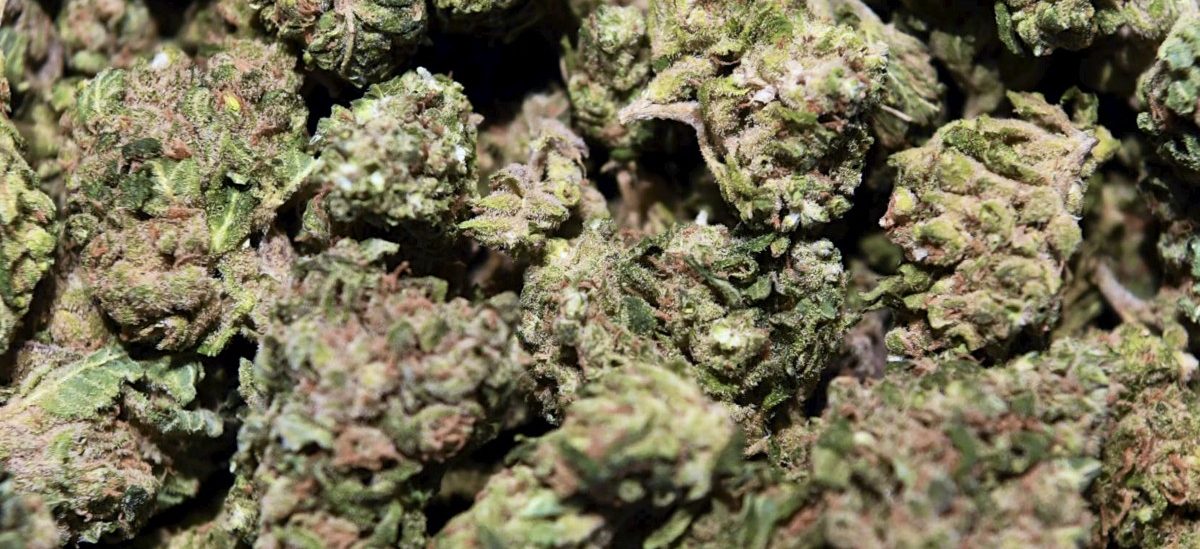 Medizinisches Cannabis: 270 Patienten haben seit Februar 21 Kilogramm konsumiert
