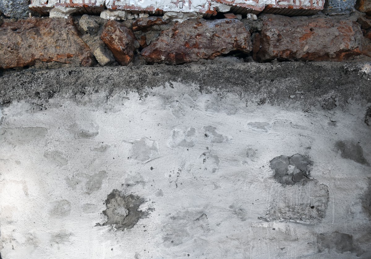 490_0008_15132503_02_07_2019_Editpress_480398