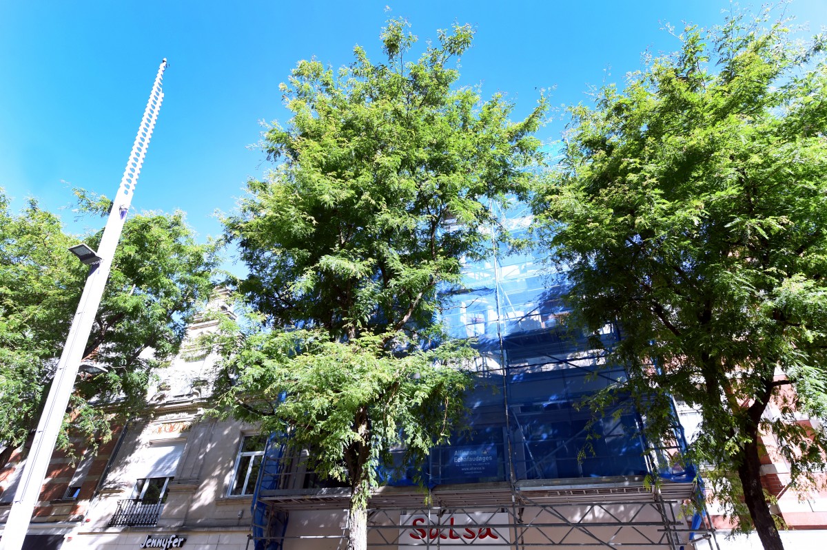 490_0008_15132504_02_07_2019_Editpress_480399