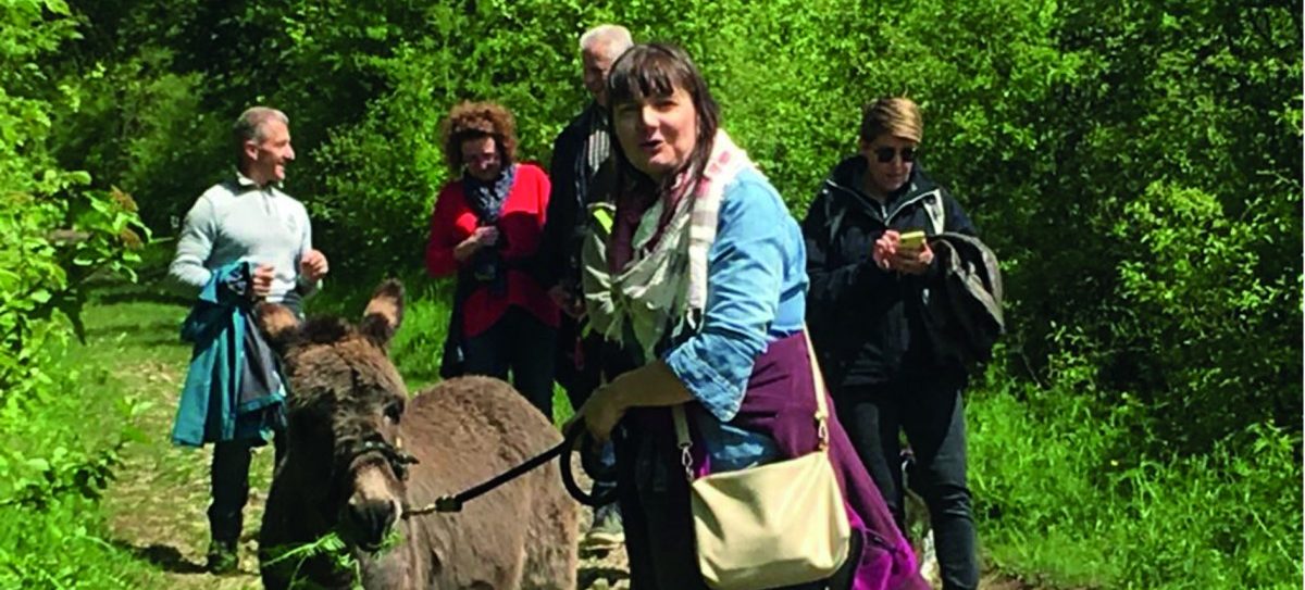 Die mit den Eseln wandern: Ein Spaziergang oberhalb der Mosel