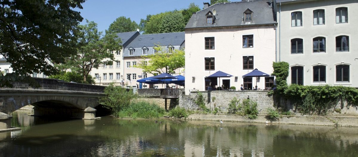 Für mehr Ökologie: Nationale Gartenschau von Mai bis Oktober 2023 in der Hauptstadt