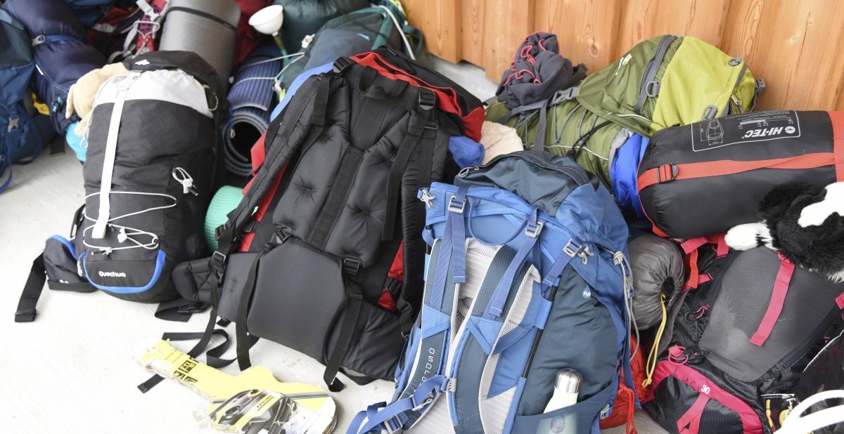 Die Mäuse „wibbeln“ seit zehn Jahren