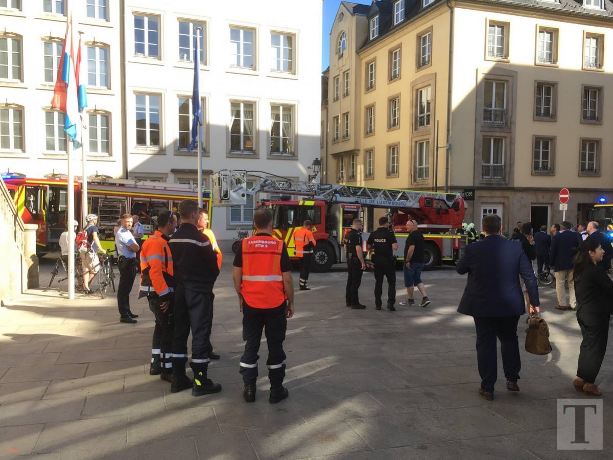 65092230_328196274791342_1248418491820670976_n