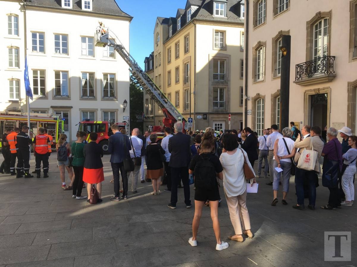 65552832_610037516155301_1824571569846878208_n