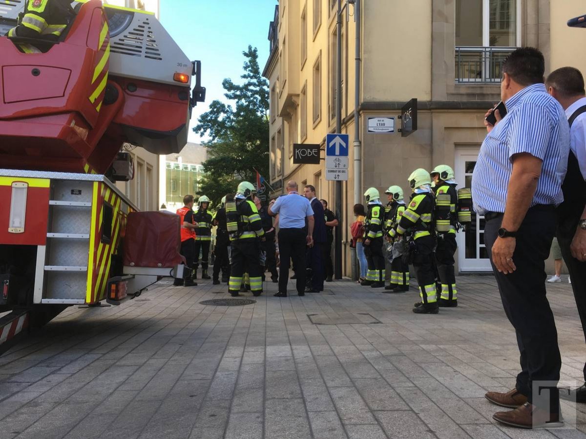 66003061_447876096002639_1477195740227829760_n