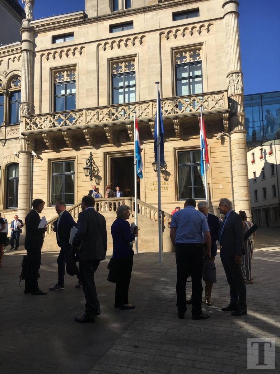 66217909_430941407486075_6562667886068891648_n