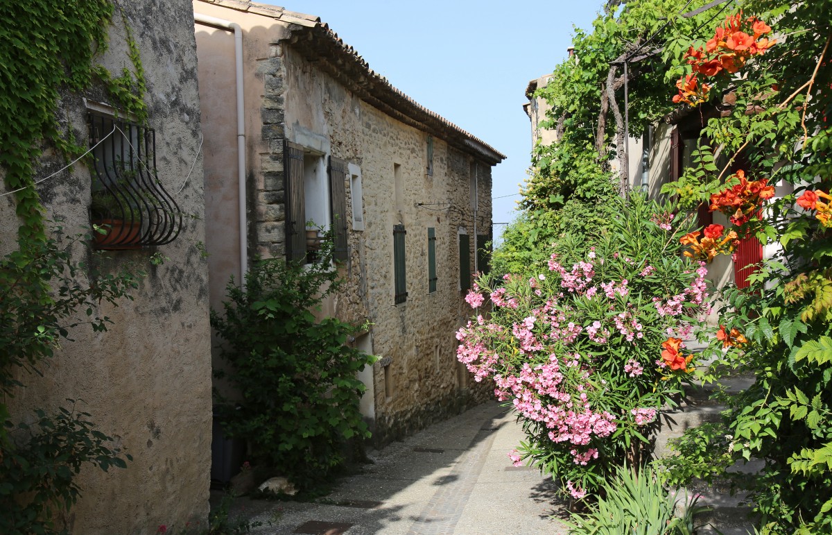 ST_Pierre_de_Vassols_001