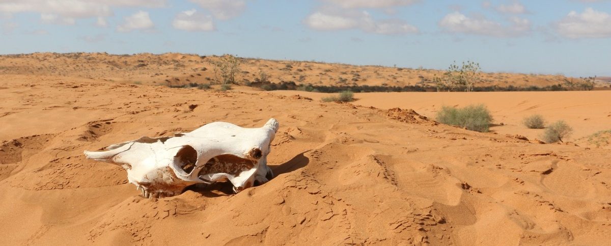 Weltnaturschutzunion: 