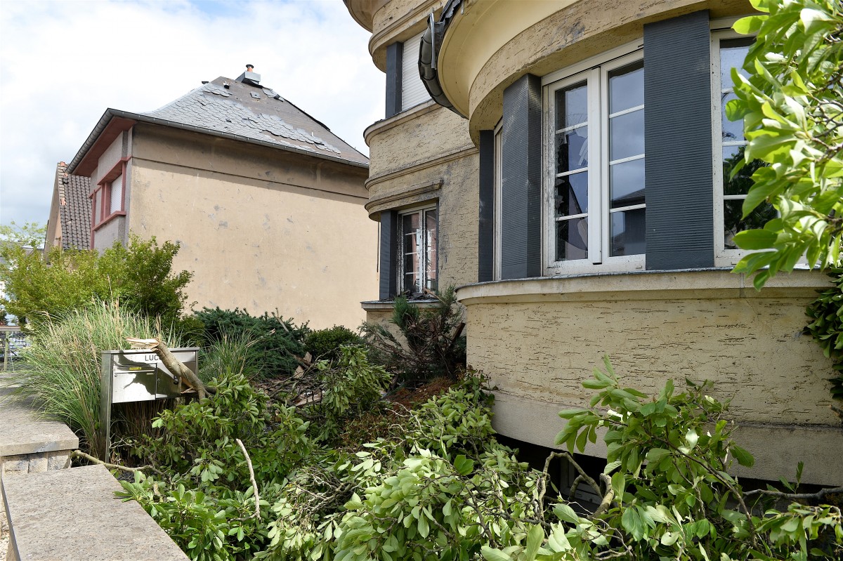 Foto: Julien Garroy/Claude Lenert