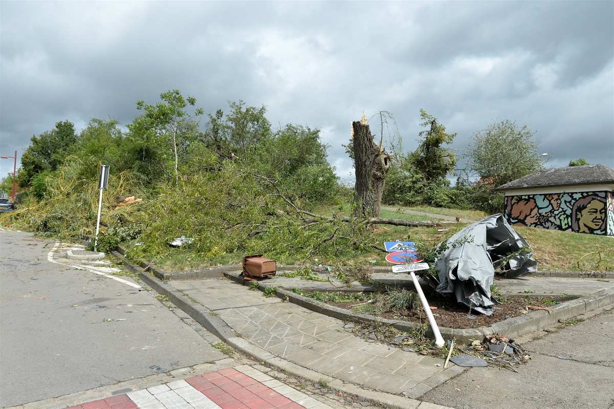 Foto: Julien Garroy/Claude Lenert