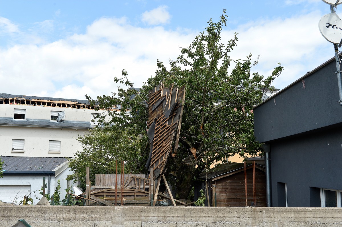 Foto: Julien Garroy/Claude Lenert