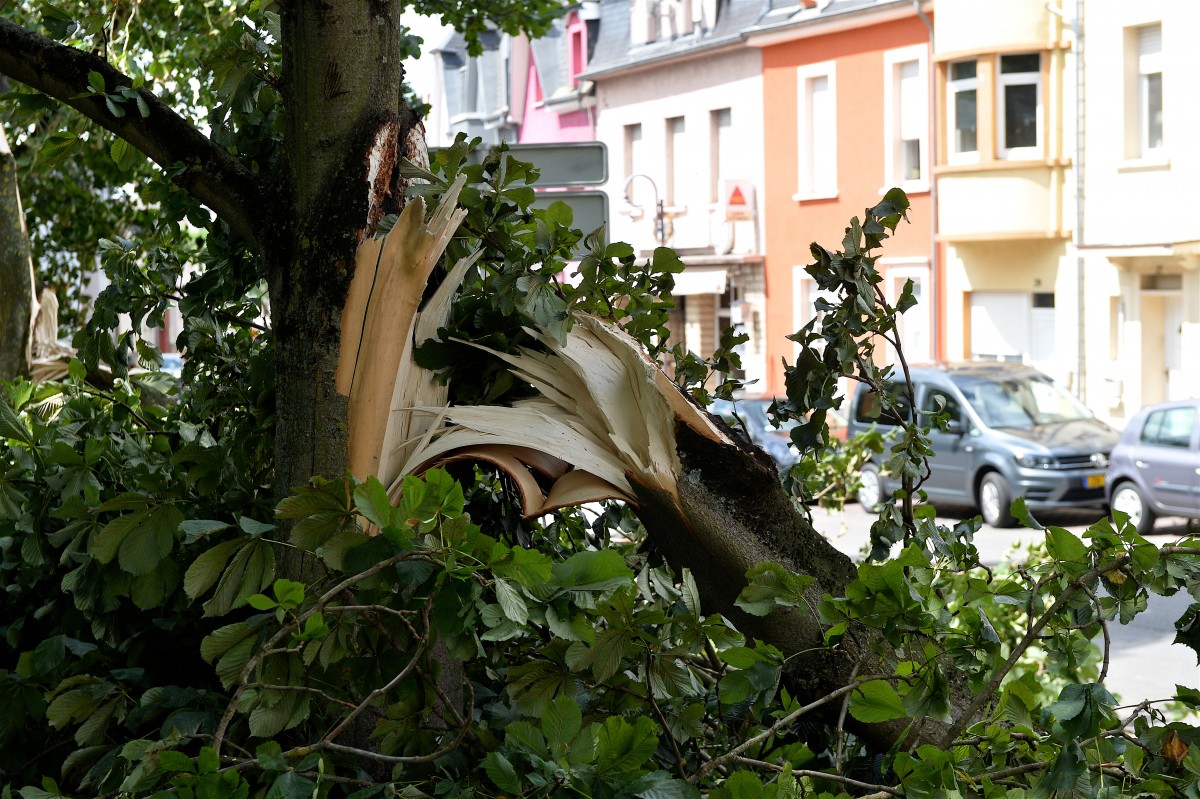 Foto: Julien Garroy/Claude Lenert