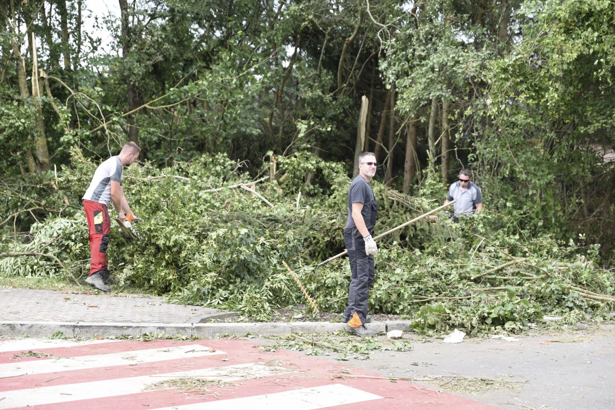 Foto: Julien Garroy/Claude Lenert