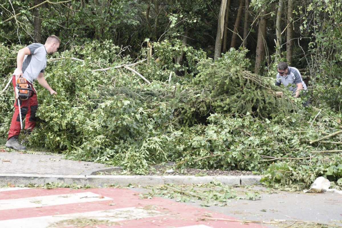 Foto: Julien Garroy/Claude Lenert