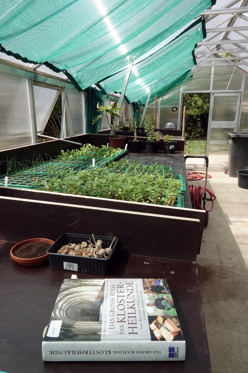 2190803 Peppingen Klostergarten Gewächshaus 1 François Besch