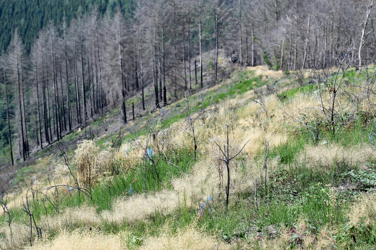 22.08.2019_Editpress_488211