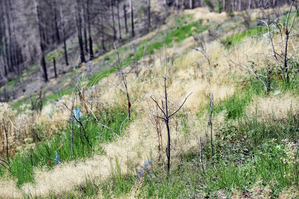 22.08.2019_Editpress_488212