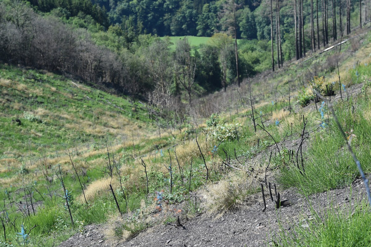 22.08.2019_Editpress_488213