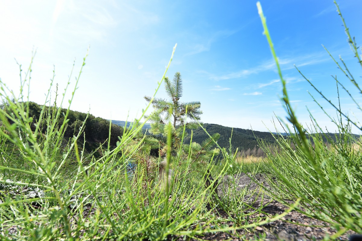 22.08.2019_Editpress_488214