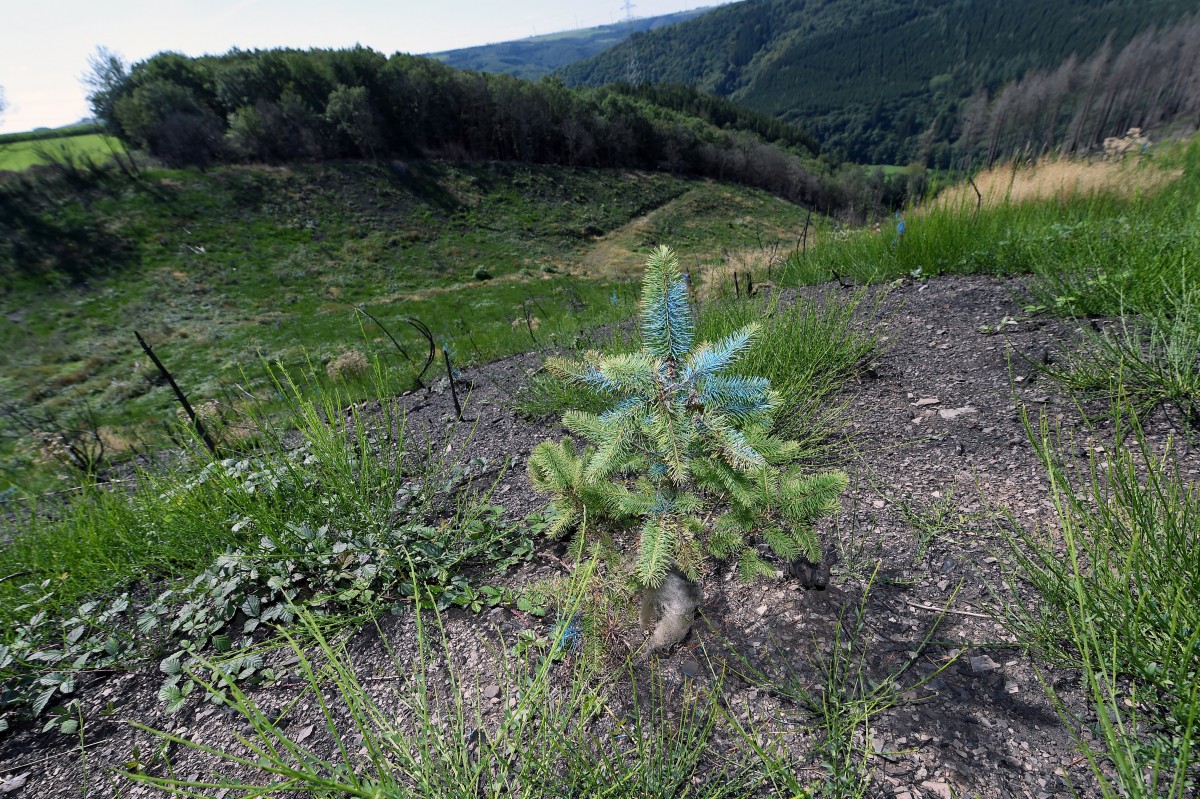 22.08.2019_Editpress_488215