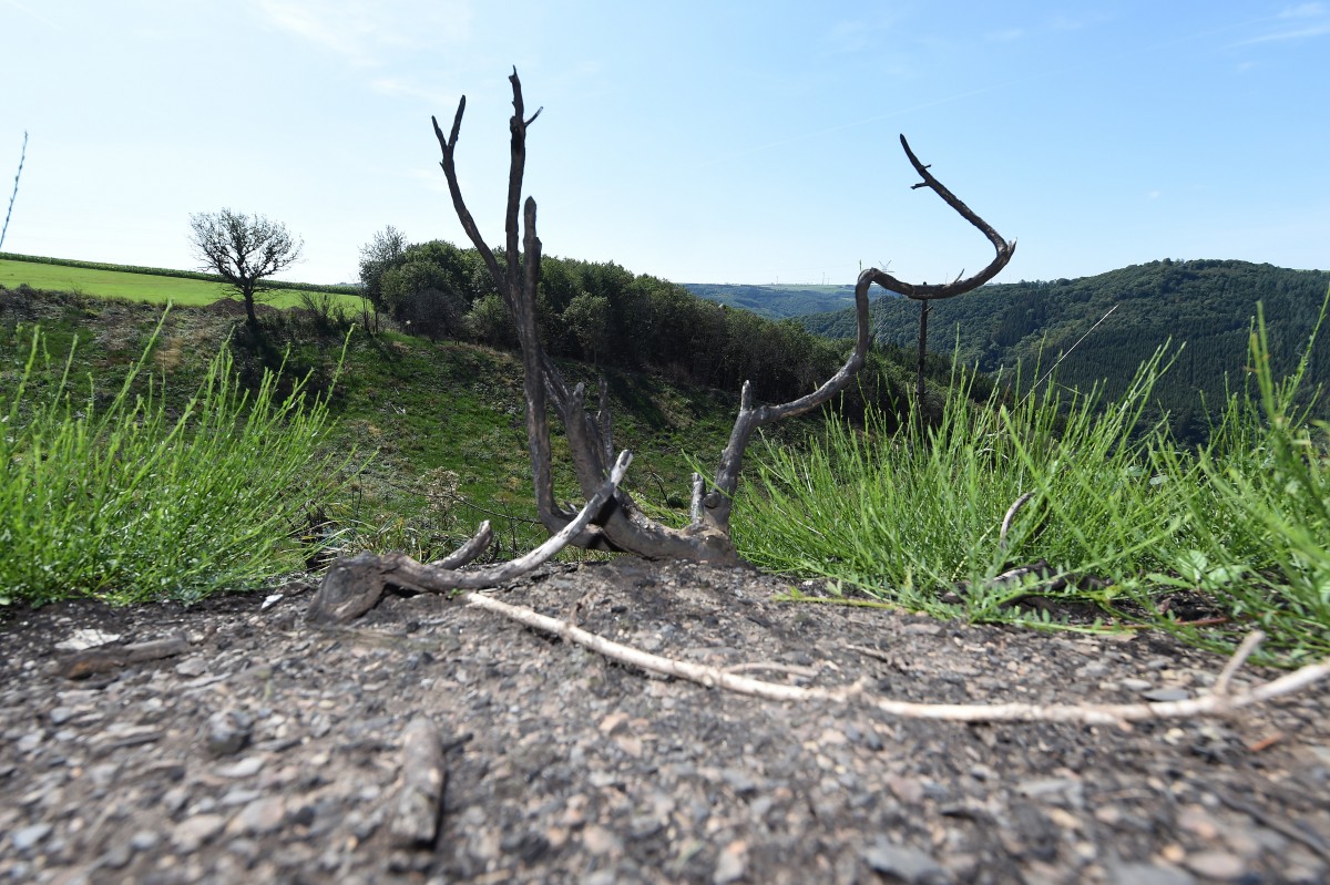 22.08.2019_Editpress_488216