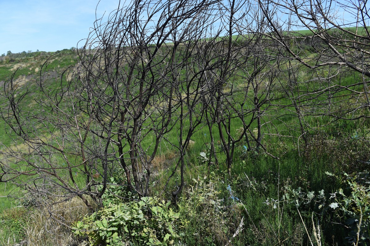 22.08.2019_Editpress_488220