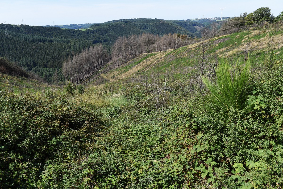 22.08.2019_Editpress_488221