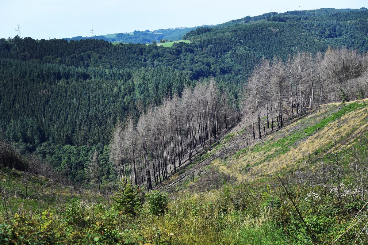 22.08.2019_Editpress_488222
