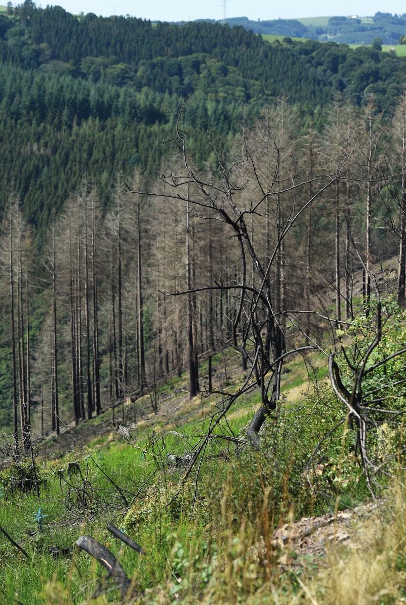 22.08.2019_Editpress_488224