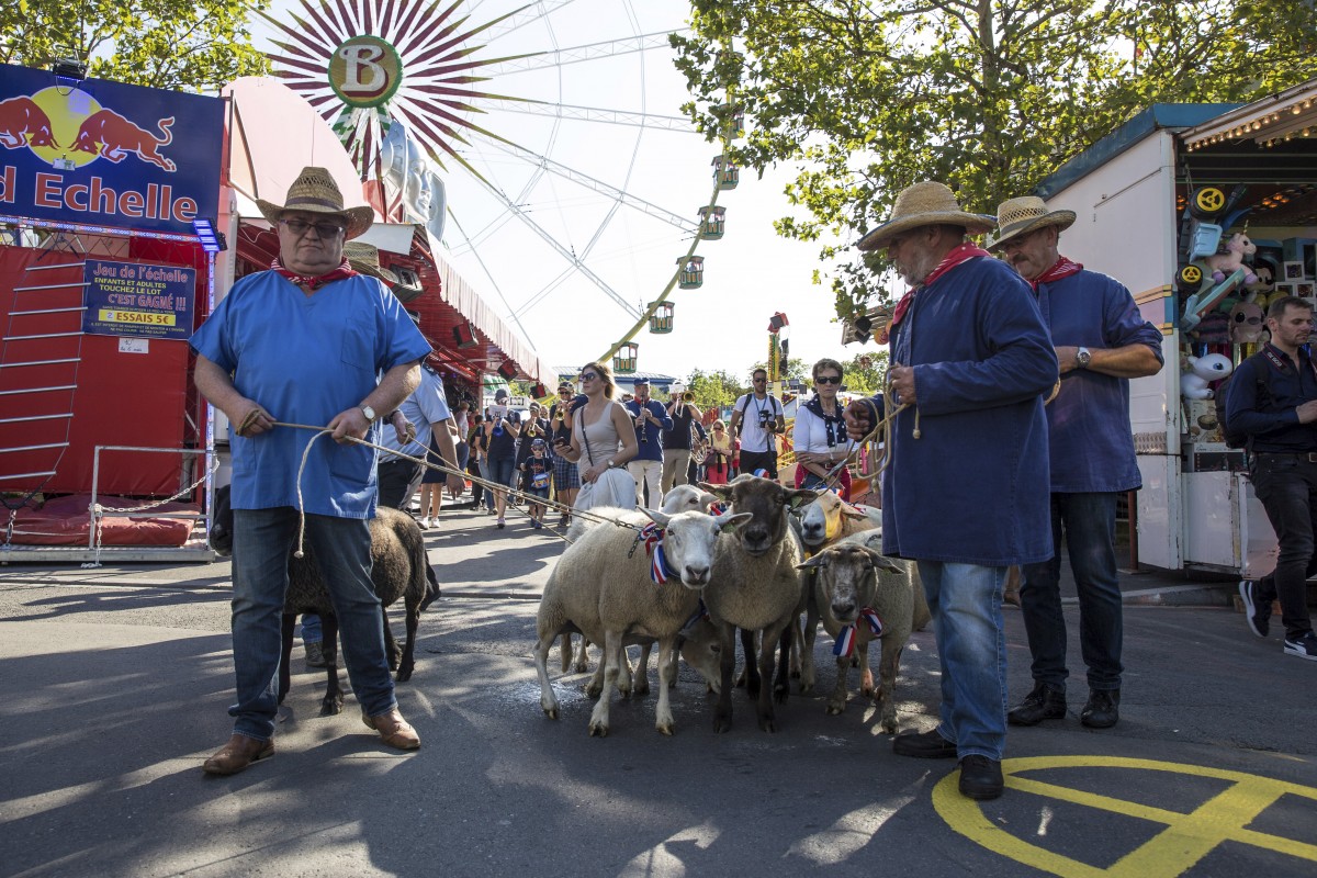 23.08.2019_Editpress_488364