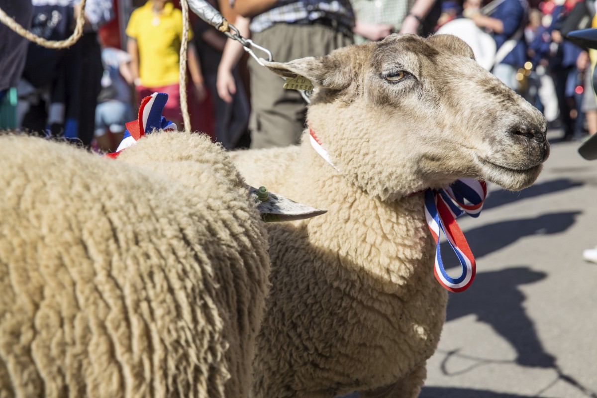 23.08.2019_Editpress_488368