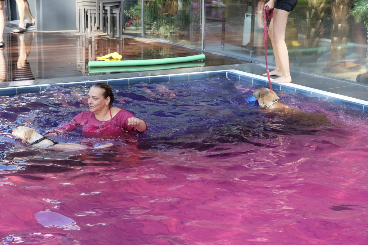 25.08.2019_Editpress_488547