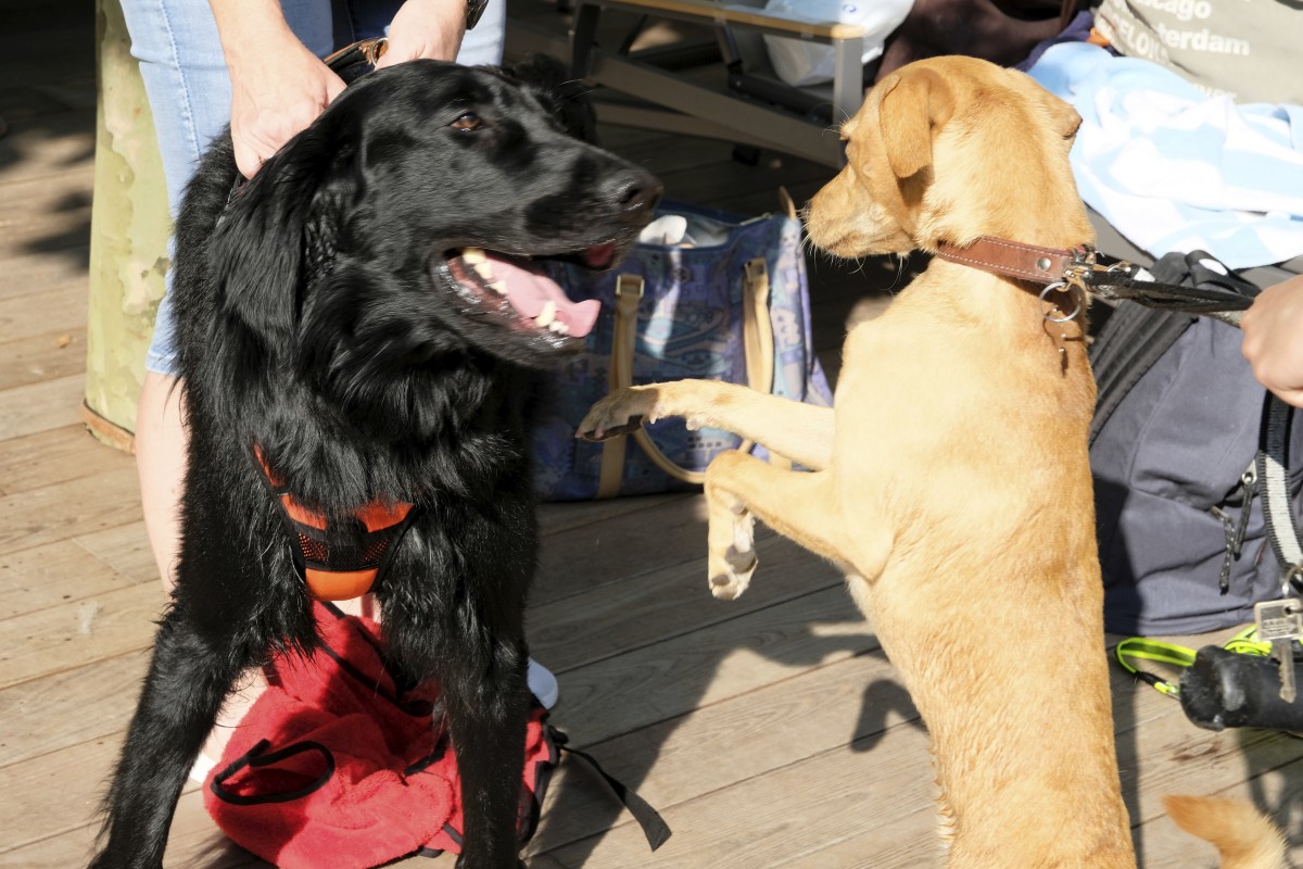 25.08.2019_Editpress_488551