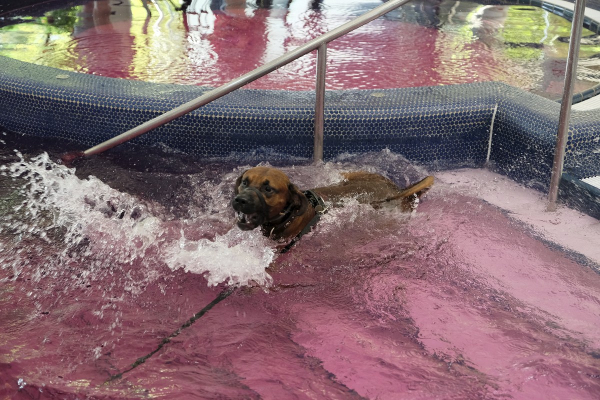 25.08.2019_Editpress_488553