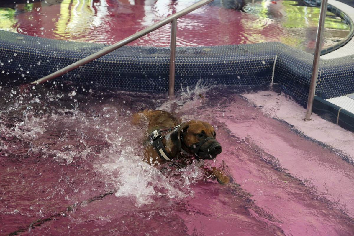 25.08.2019_Editpress_488554