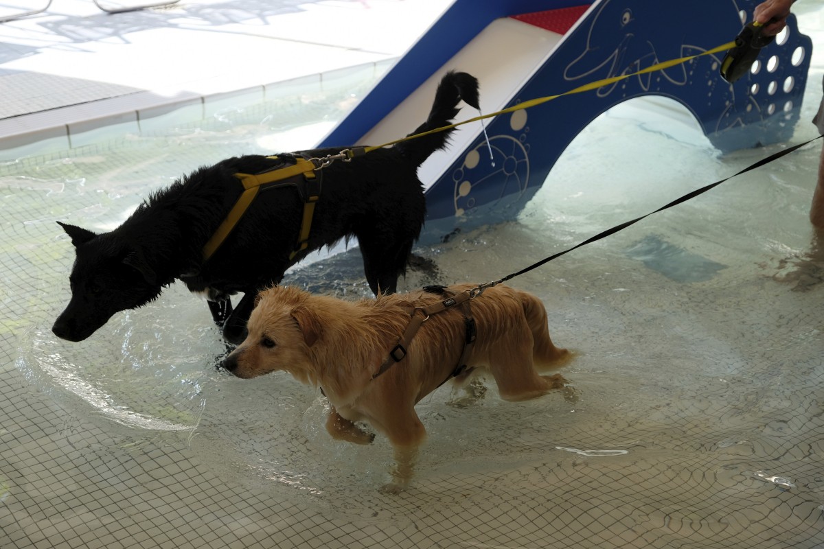 25.08.2019_Editpress_488557