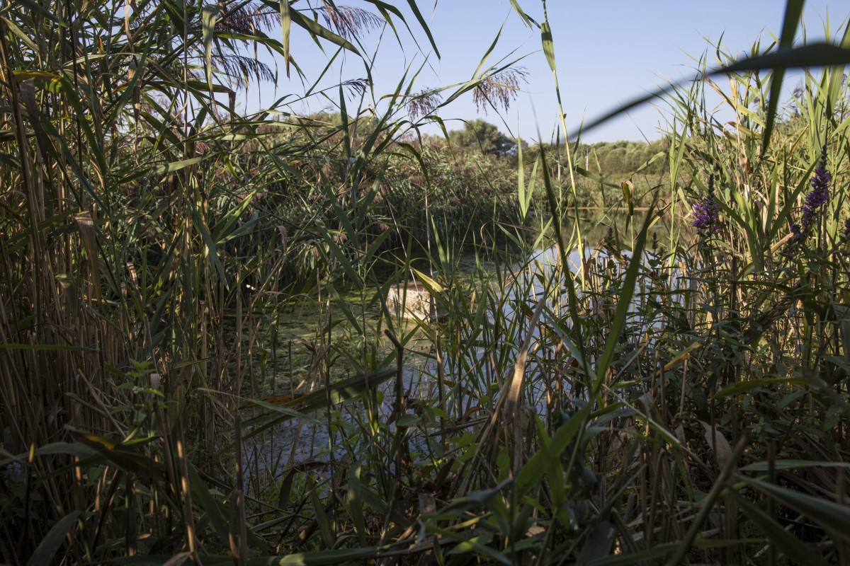 26.08.2019_Editpress_488628