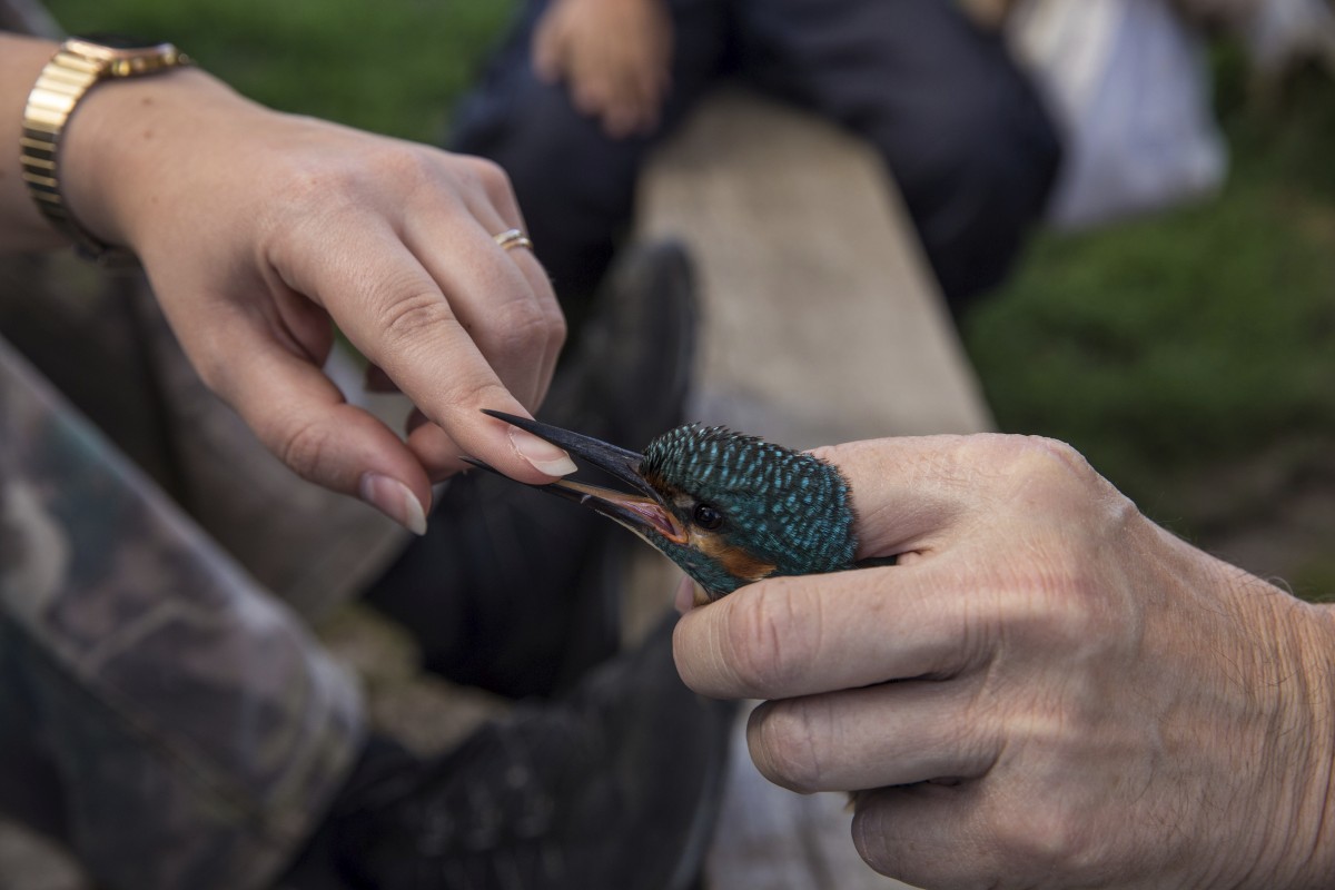 26.08.2019_Editpress_488633